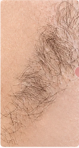 Trước khi sử dụng MLay T25C
